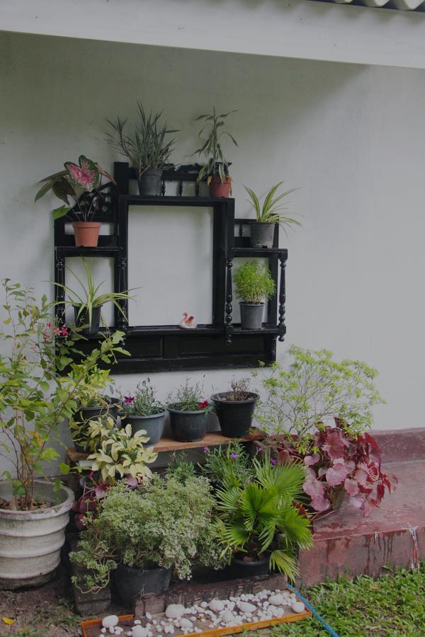 Coco Home Negombo Luaran gambar