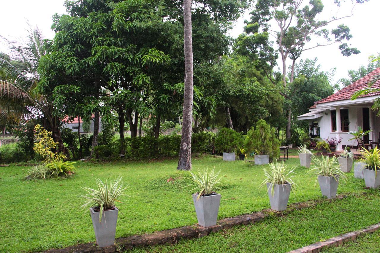 Coco Home Negombo Luaran gambar